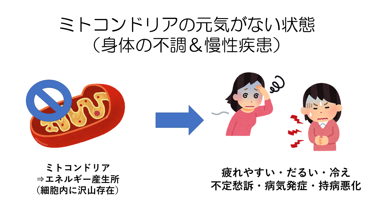 ミトコンドリアの機能低下