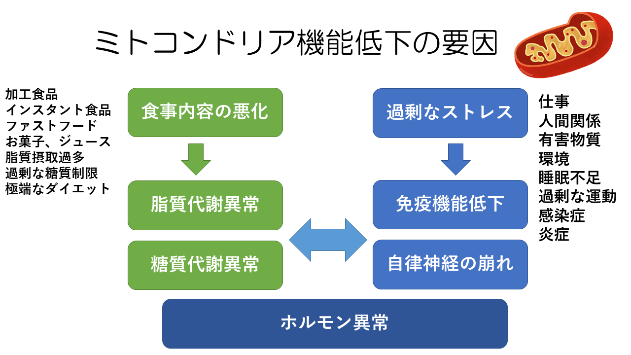 ミトコンドリア機能低下の要因