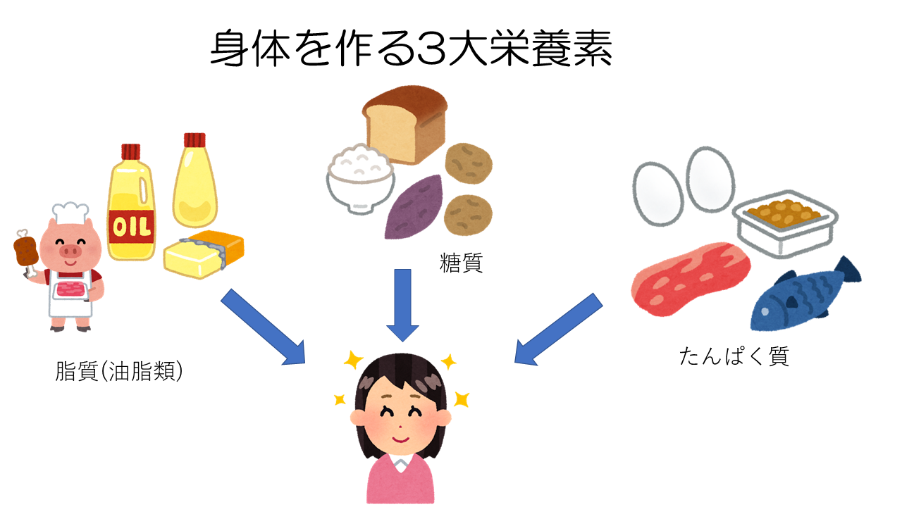 三大栄養素