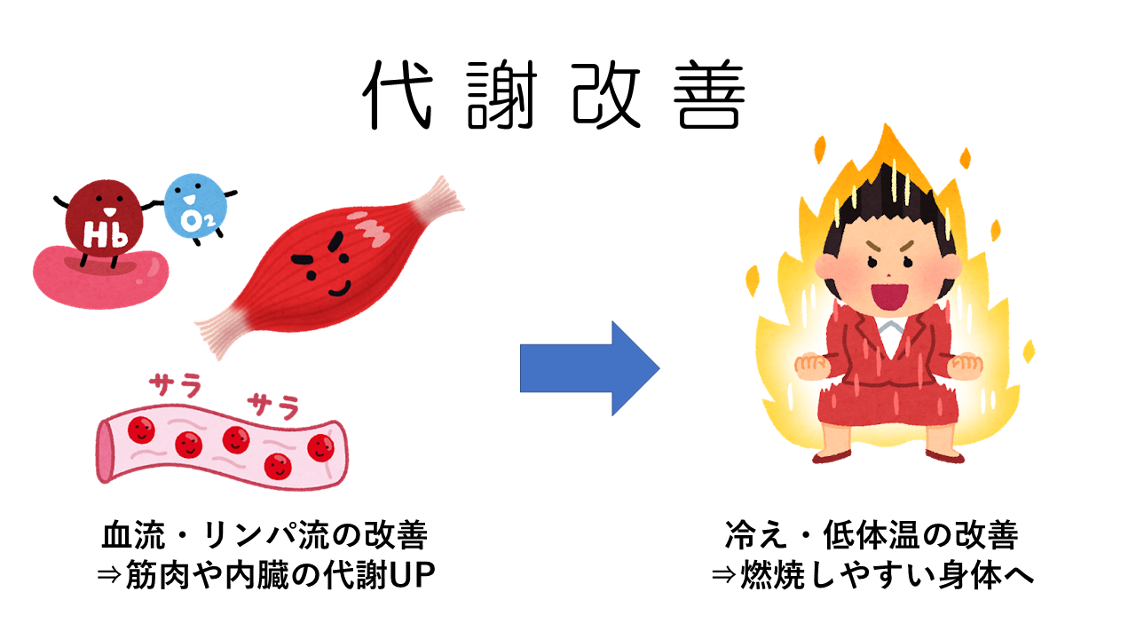 循環改善で代謝UP