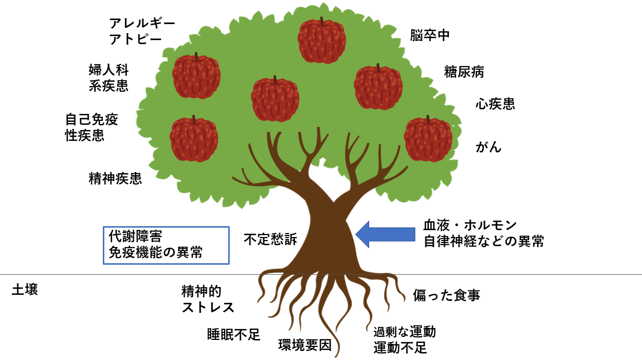 根本治療の説明