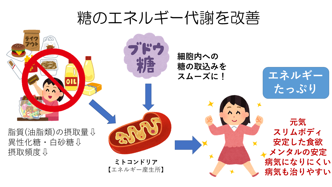 糖のエネルギー代謝改善