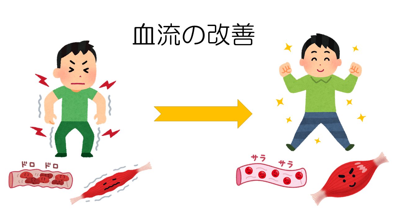 血流の改善