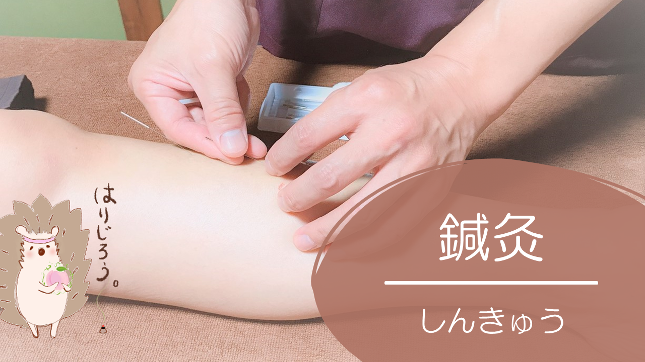 もも鍼灸院、はり、きゅう、鍼灸治療