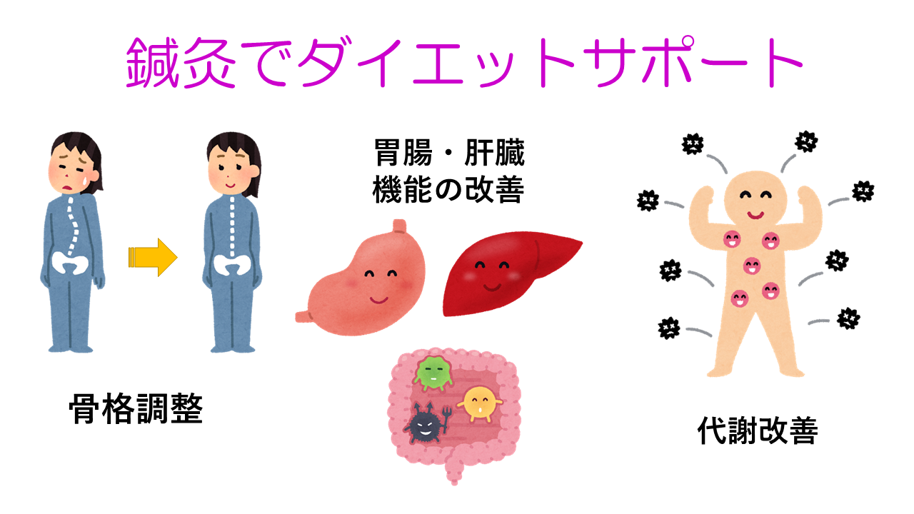 鍼灸でダイエットサポート