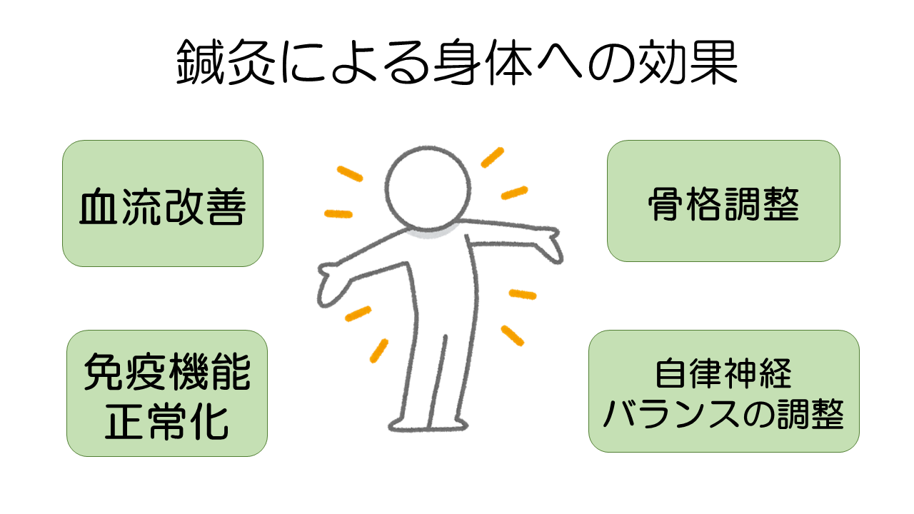 鍼灸による身体への効果