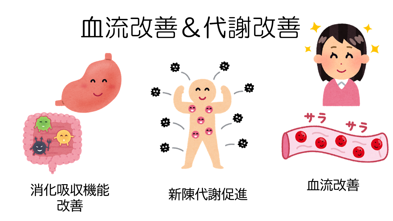 鍼灸の美容アプローチ
