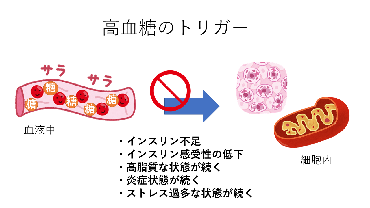 高血糖のトリガー