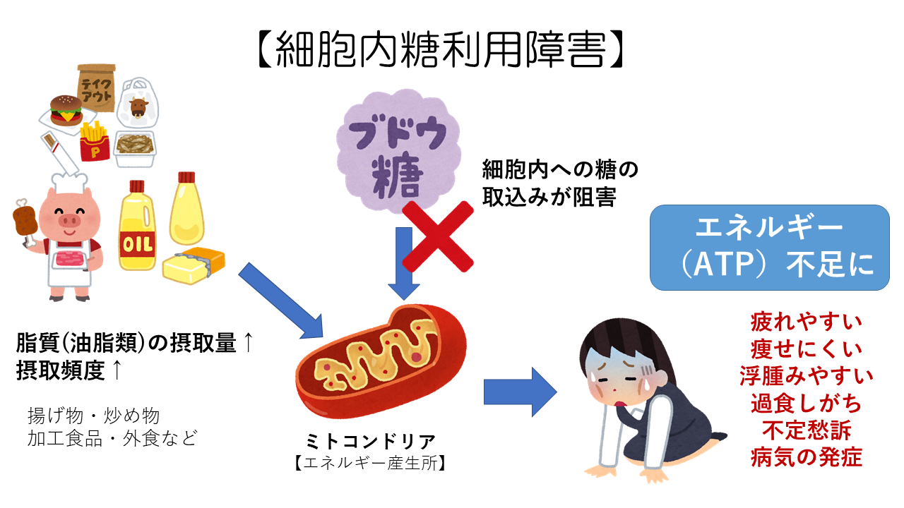 細胞内糖利用障害（ダイエット）