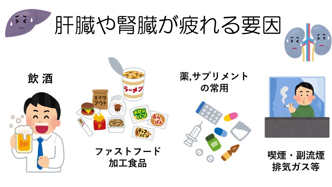 肝・腎機能の低下要因