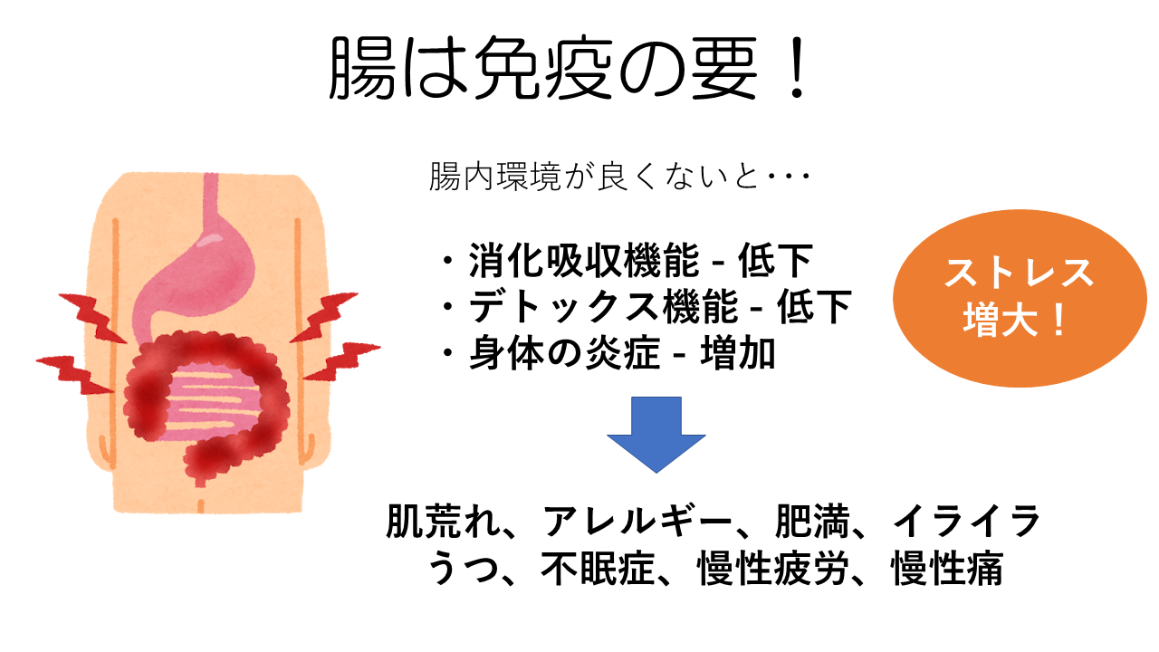 腸内環境が悪いと