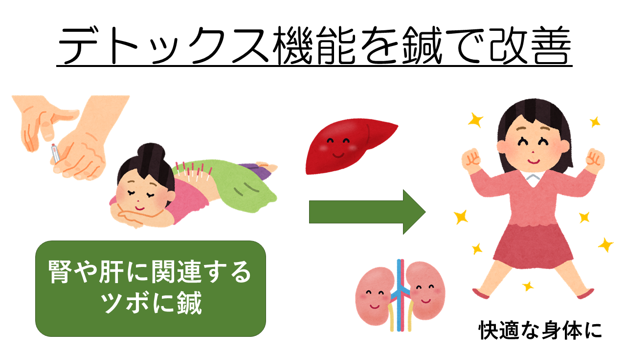鍼でデトックス機能を高める