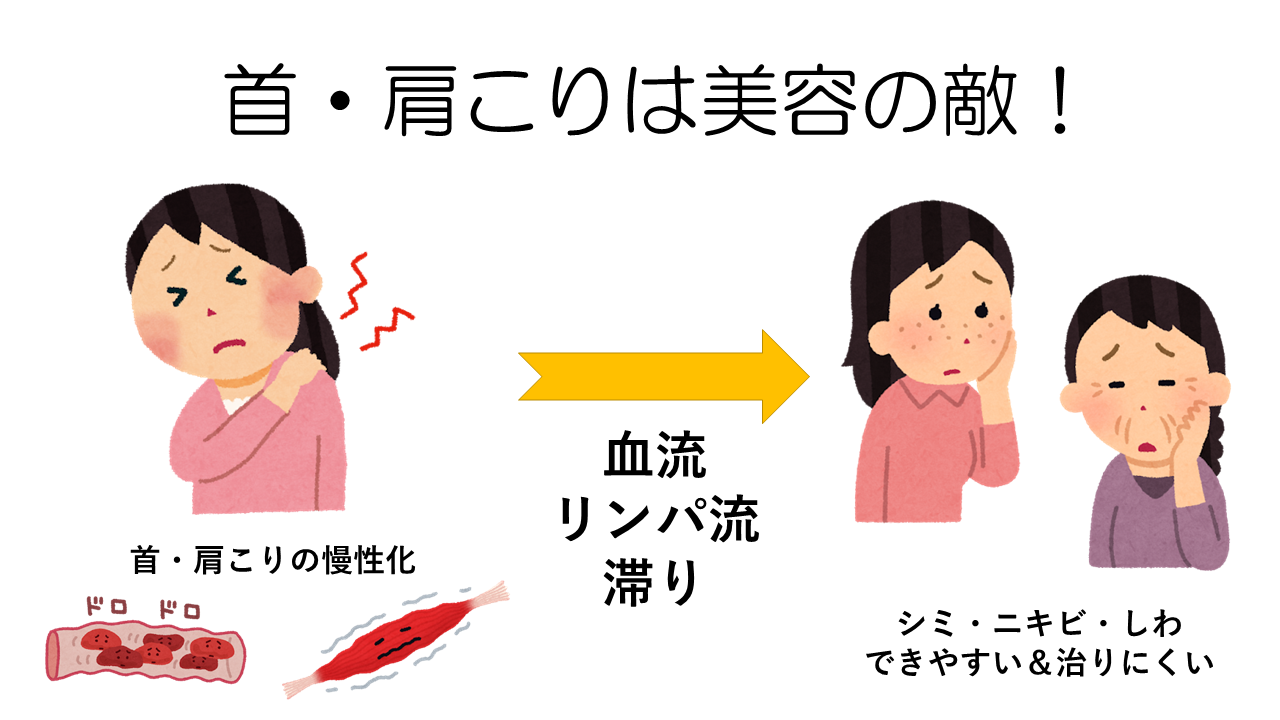 首・肩こり→しみしわ