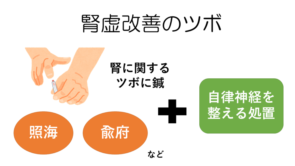 腎虚 とは 腎は生命力の根本 伊勢市 もも鍼灸院 自律神経と免疫系の調整を重視する鍼灸