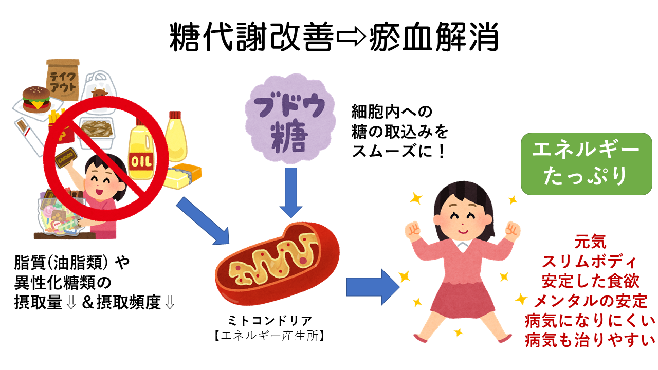 糖代謝改善で瘀血解消