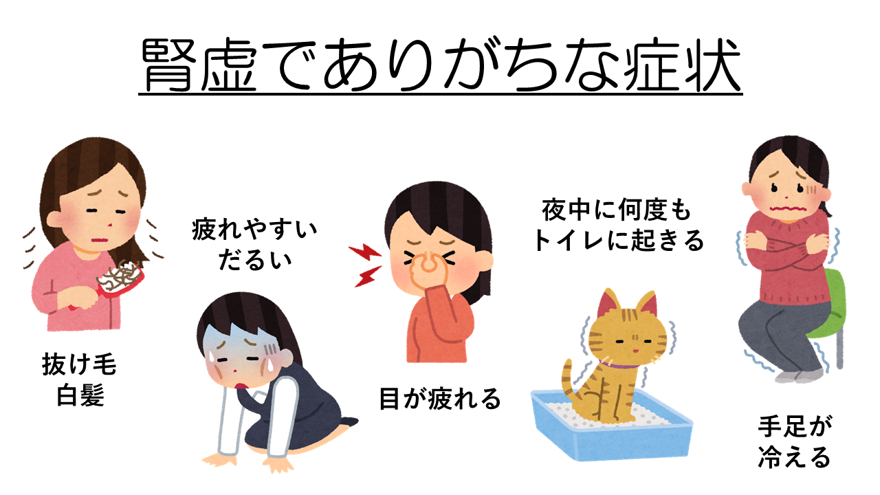 腎虚でありがち症状