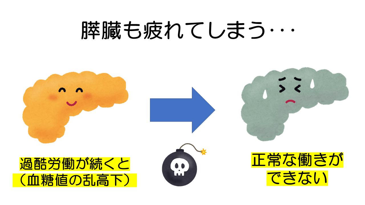 膵臓も疲れる