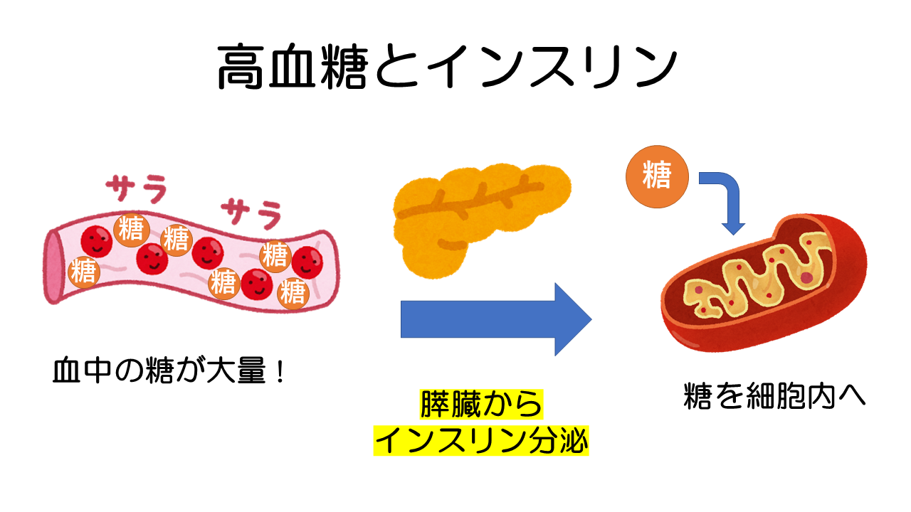高血糖とインスリン