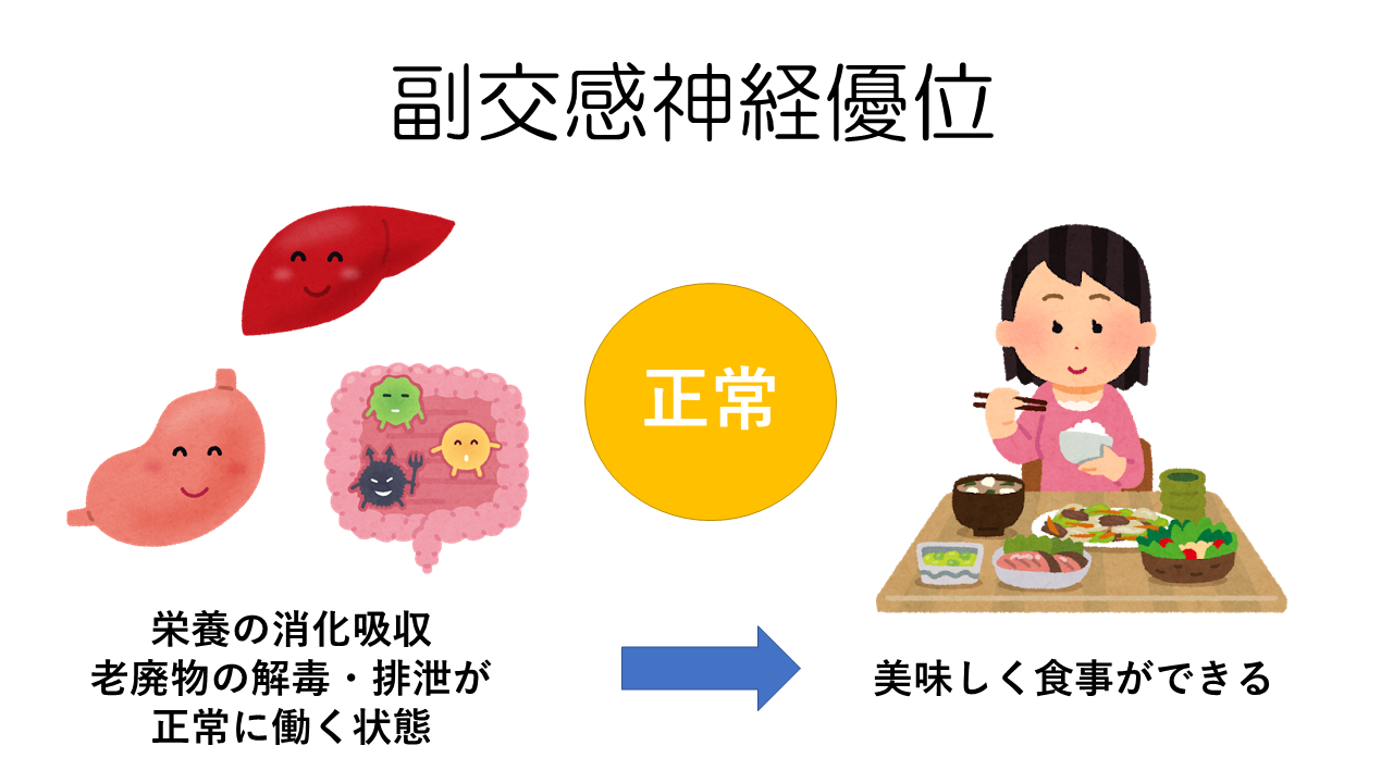 副交感神経優位