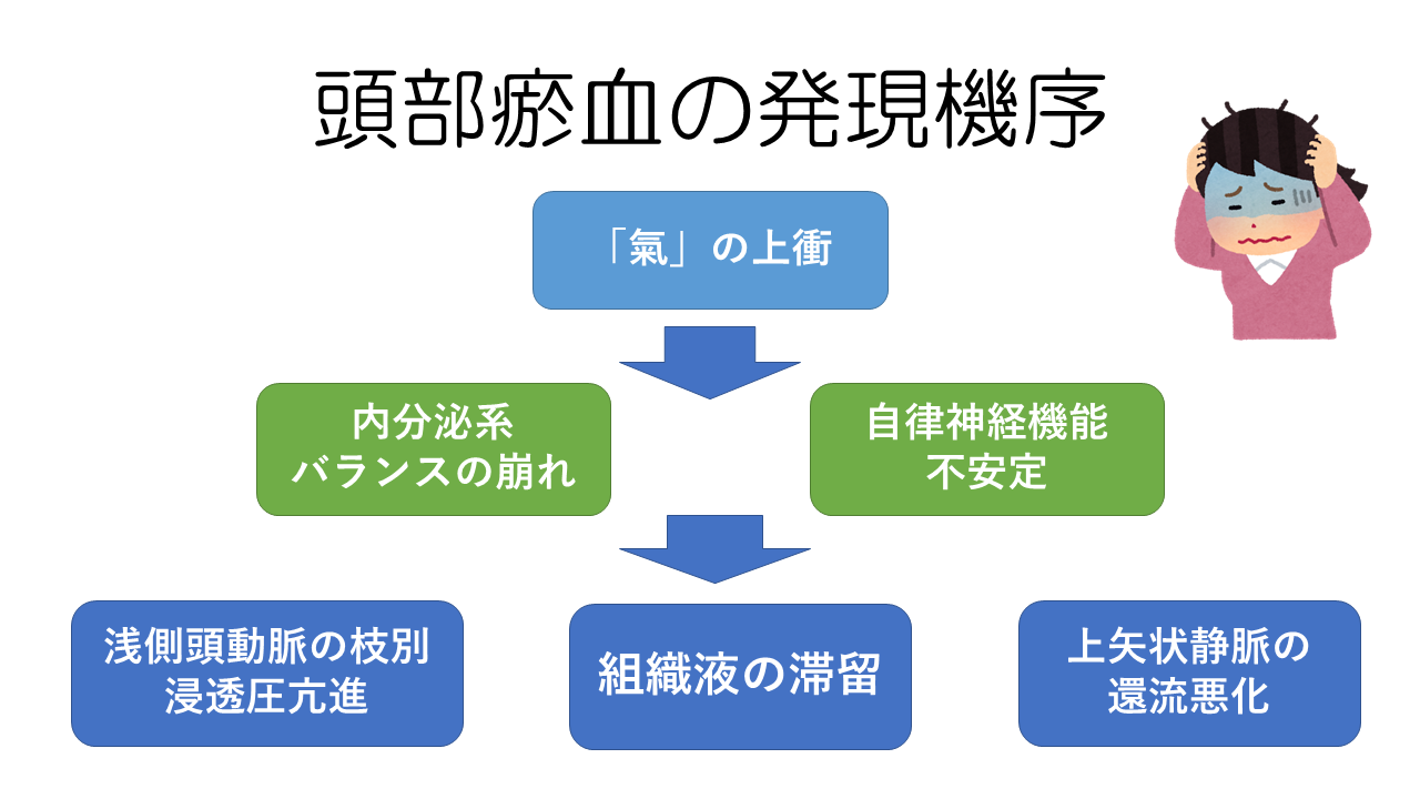 頭部お血の発現機序