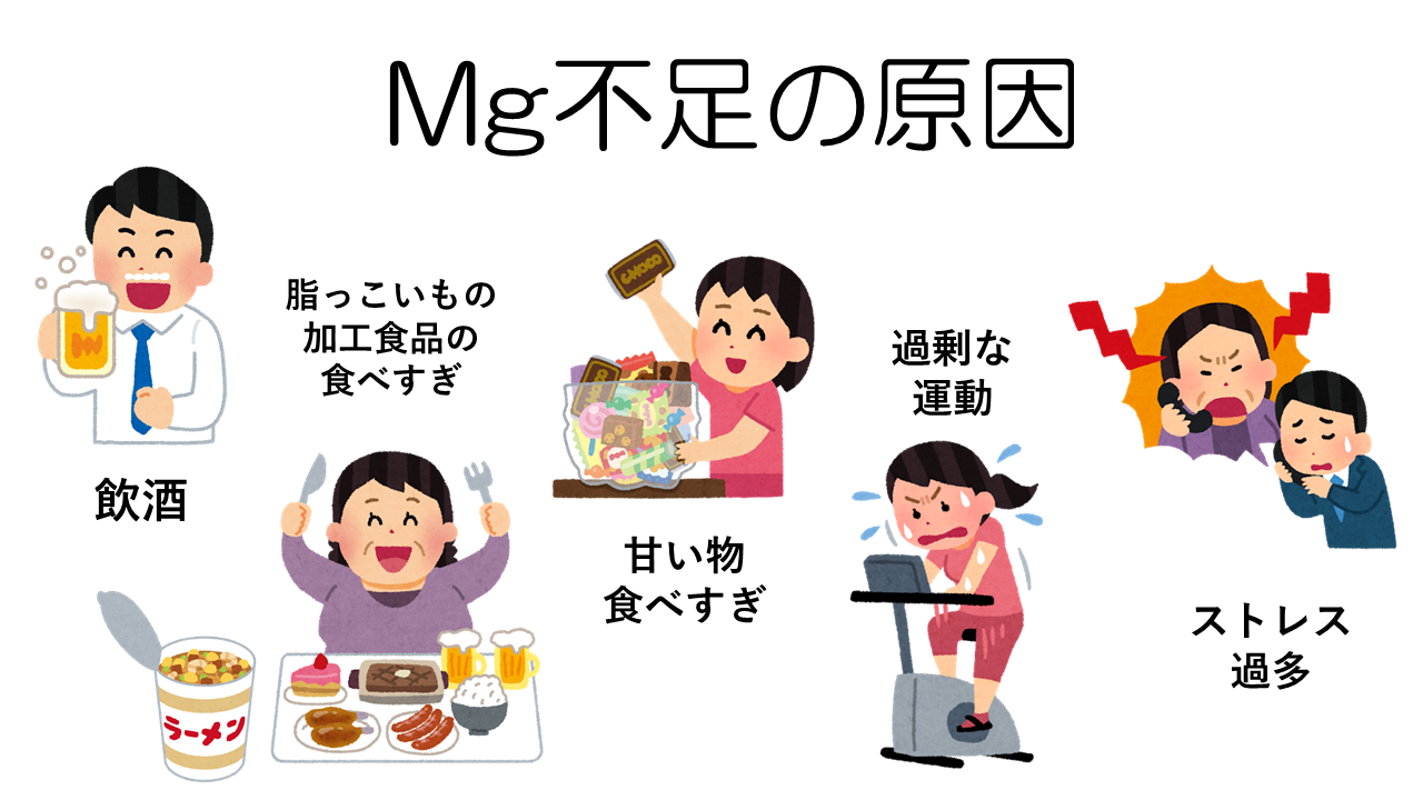 マグネシウム不足の原因