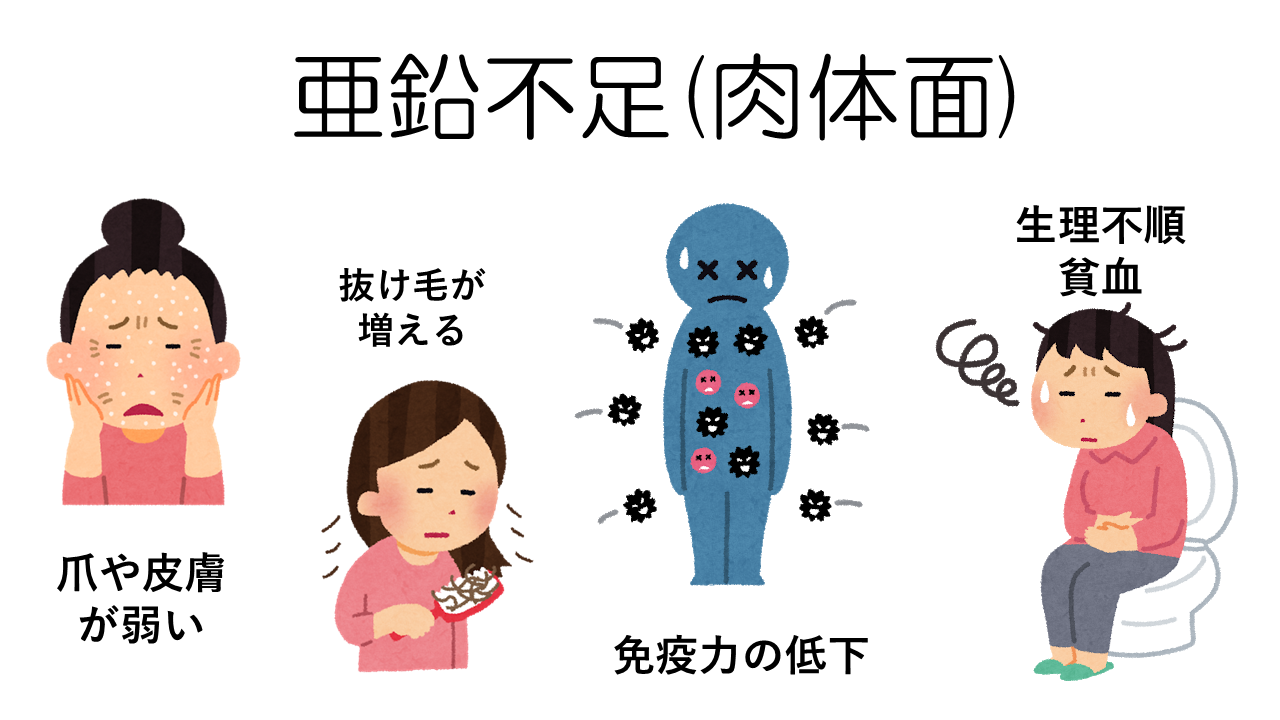 亜鉛不足（肉体面）