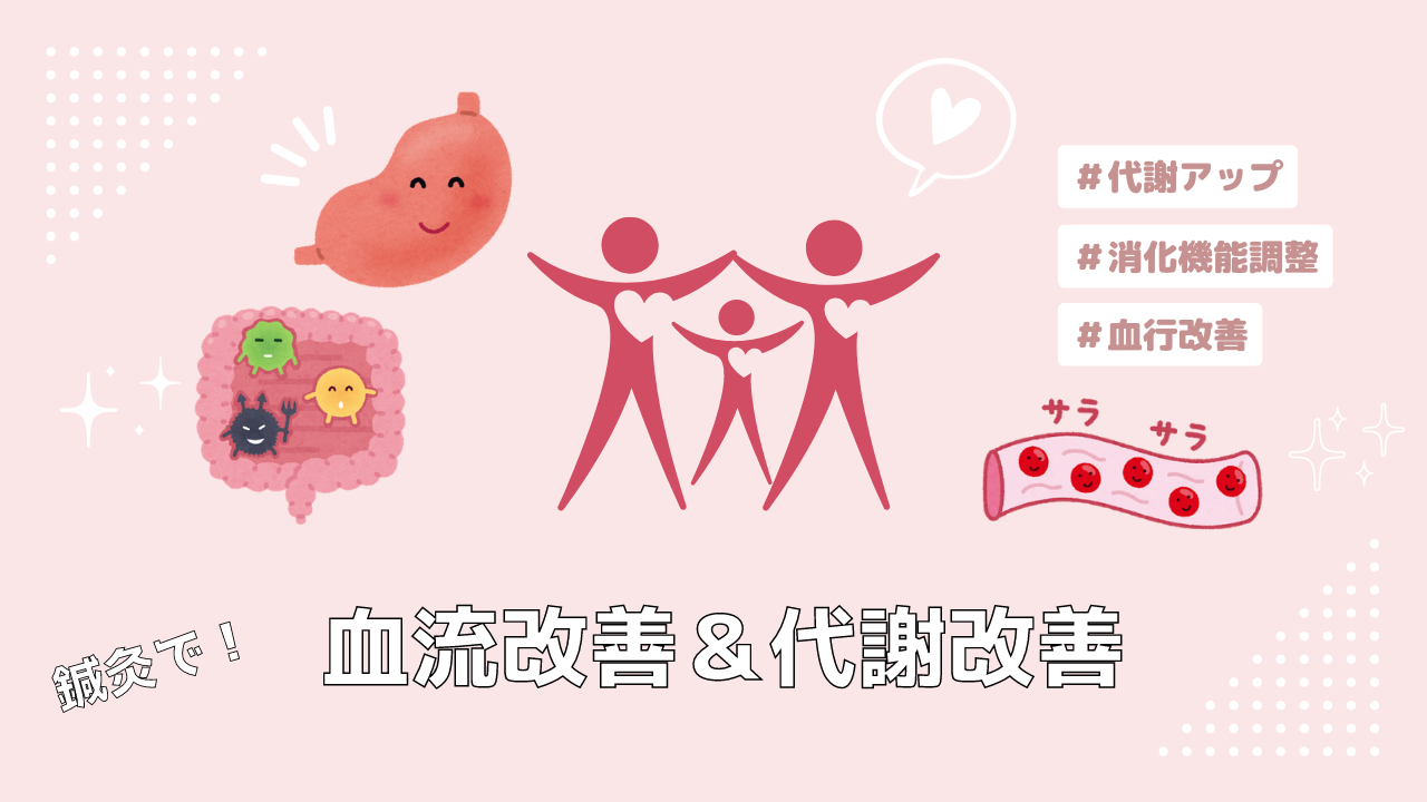 血流改善＆代謝改善