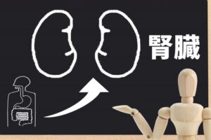 投稿についてもっと詳しく 【症例】慢性腎不全