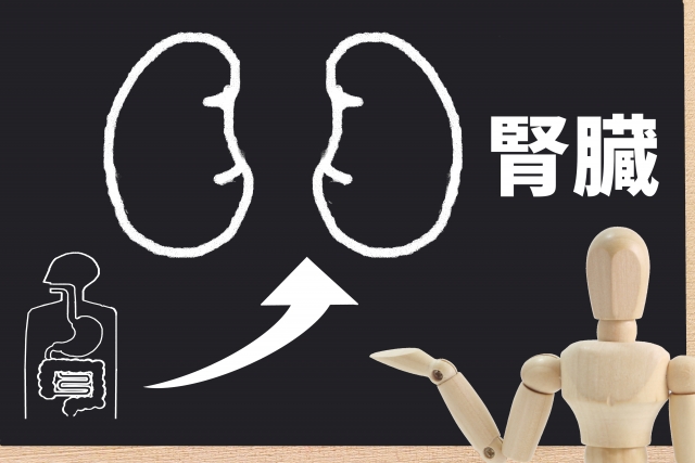 あなたが現在見ているのは 【症例】慢性腎不全
